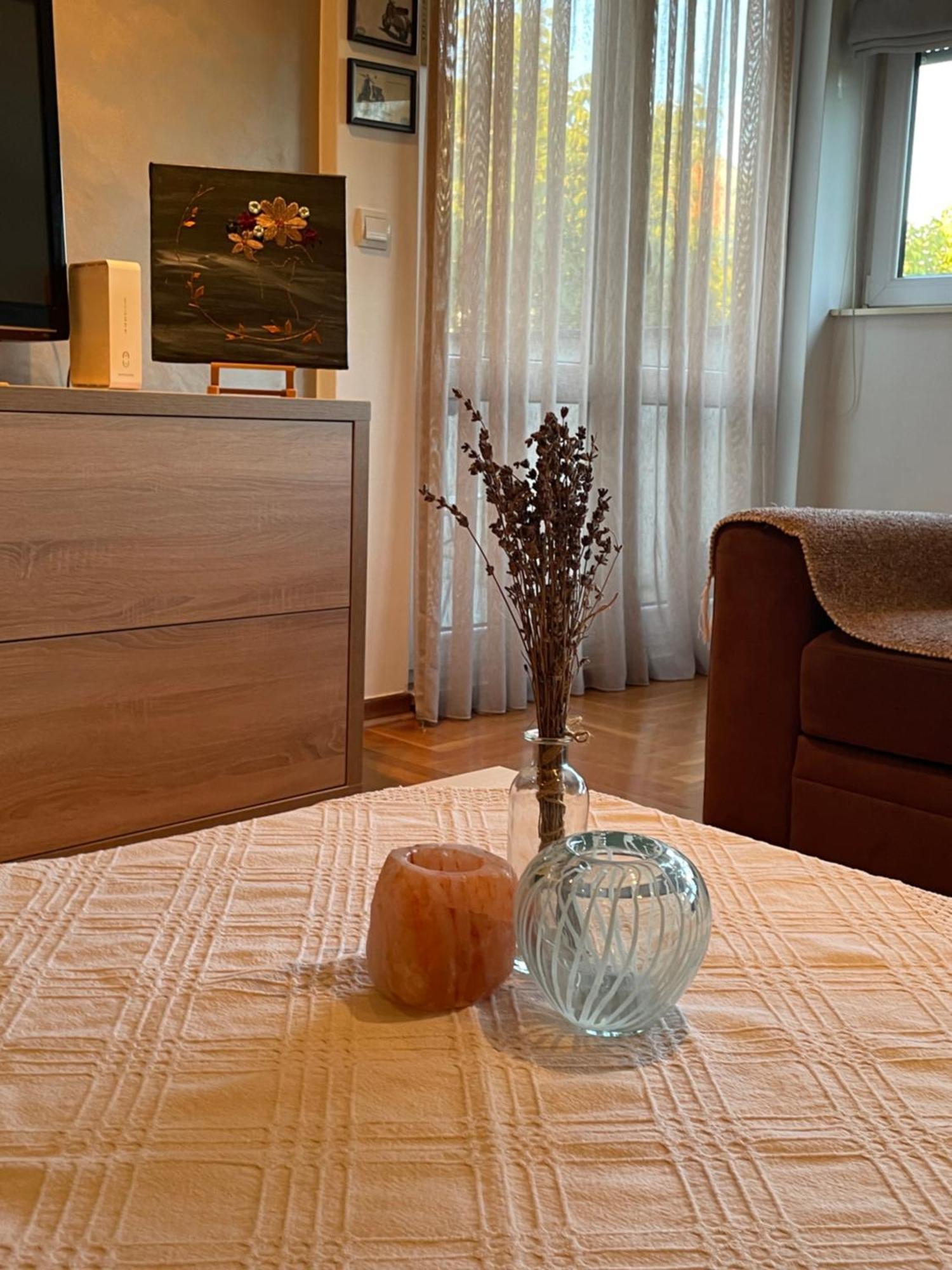 Apartment Comfy & Cozy - Parking Belgrade